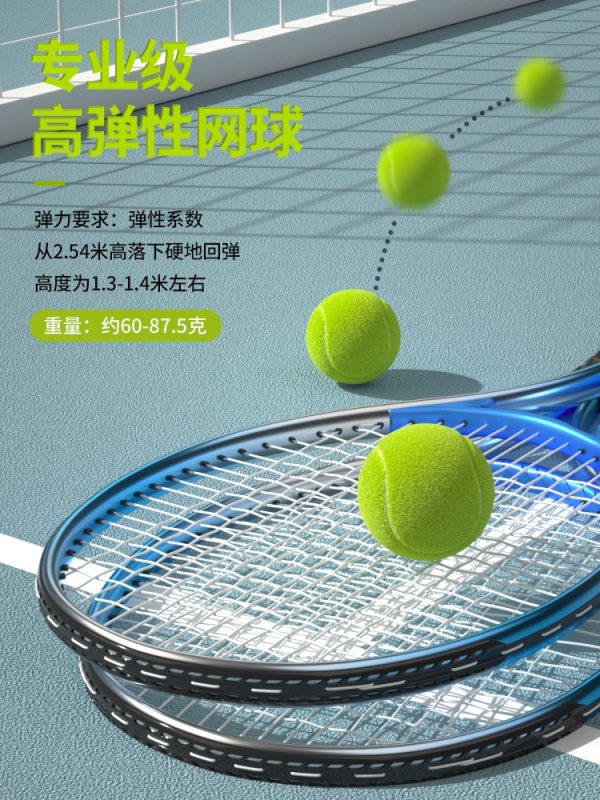 Tennis Racket Beach Racket Set Beginner Tennis Trainer Adults Shaft Trainer Ball Paddle Outdoor Sports Equipment - Image 2